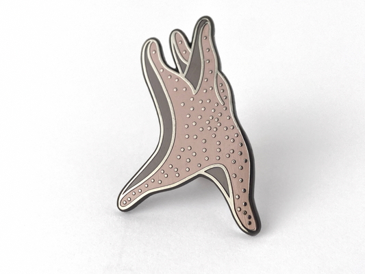 Starfish Pin